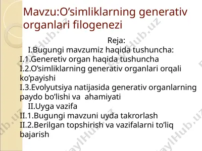 o’simliklarning generativ organlari filogenezi — PPTX