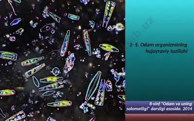 odam organizmining hujayraviy tuzilishi — PPTX
