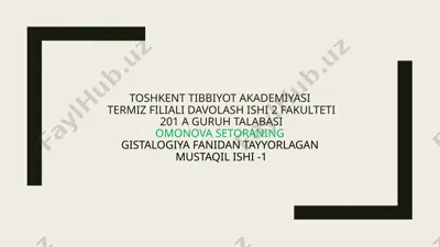 nafas olish tizimi a'zolarining qiyosiy gistalogik tavsifi — PPTX