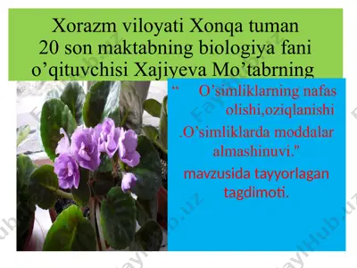 o'simliklarning nafas olishi, oziqlanishi, moddalar almashinuvi — PPTX