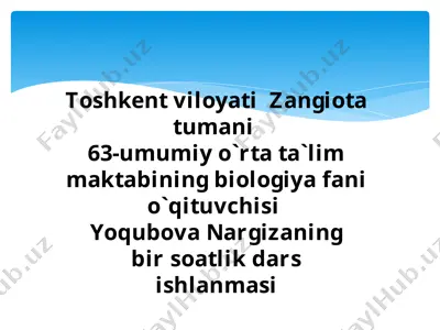 o`simliklarga odam faoliyatining ta`siri — PPTX