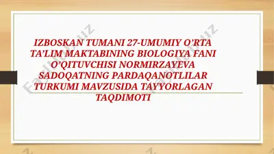 normirzayeva sadoqatning pardaqanotlilar turkumi — PPTX