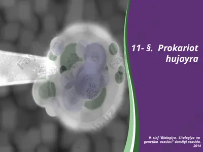 prokariot hujayra — PPTX