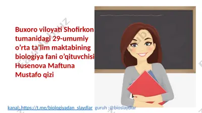 qon tomirlarining tuzilishi — PPTX