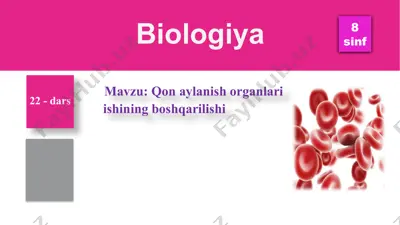 qon aylanish organlari ishining boshqarilishi — PPTX