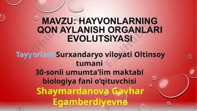 hayvonlarning qon aylanish organlari evolutsiyasi — PPTX