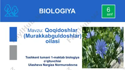 qoqidoshlar — PPTX