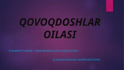 qovoqdoshlar oilasi — PPTX