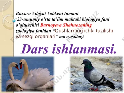 dars ishlanmasi "qushlarning ichki tuzilishi va sezgi organlari" — PPTX