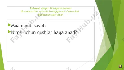qushlar haqida dars materiali — PPTX