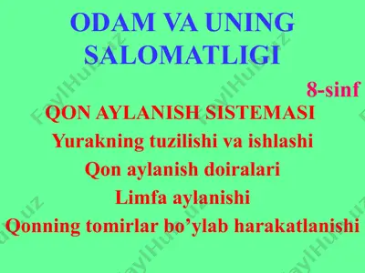 qon aylanish sistemi — PPTX