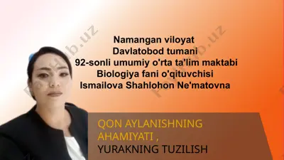 qon aylanishning ahamiyati, yurakning tuzilishi — PPTX