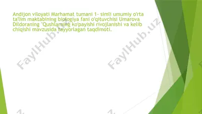 qushlarning ko‘payishi, rivojlanishi va kelib chiqishi taqdimoti — PPTX