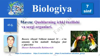 qushlarning ichki tuzilishi va sezgi organlari — PPTX