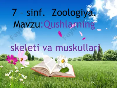 qushlarning skeleti va muskullari — PPTX