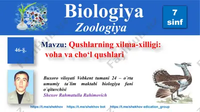 qushlarning xilma-xilligi: voha va cho‘l qushlari — PPTX