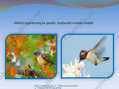 qushlarning ko`payishi, rivojlanishi va kelib chiqishi — PPTX