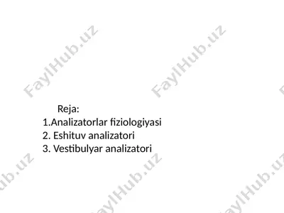 eshituv analizatori — PPTX
