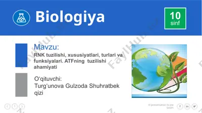 rnk tuzilishi, xususiyatlari, turlari va funksiyalari. atfning tuzilishi ahamiyati — PPTX