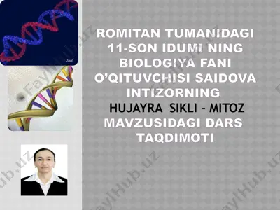 biologiya fanida "hujayra sikli - mitoz" mavzusidagi dars taqdimoti — PPTX