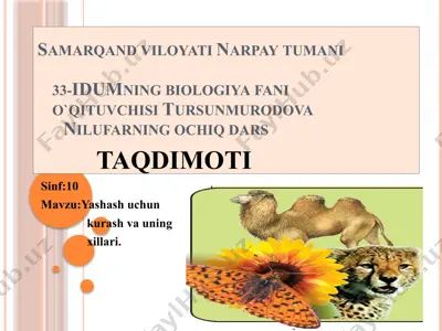 nilufarning biologiya darsi "aqliy hujum" — PPTX