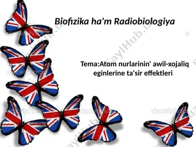 atom nurlarinin' awil-xojaliq eginlerine ta'sir effektleri — PPTX