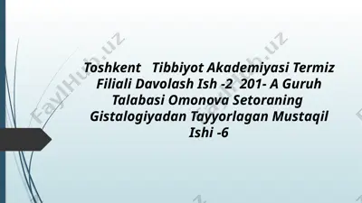toshkent tibbiyot akademiyasi termiz filiali davolash ish -2 201- a guruh talabasi omonova setoraning gistalogiyadan tayyorlagan mustaqil ishi -6 — PPTX