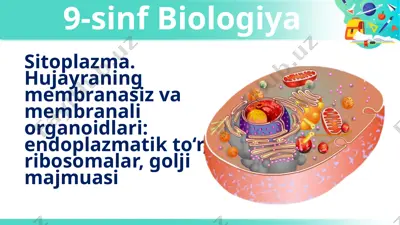 sitoplazma. hujayraning membranasiz va membranali organoidlari: endoplazmatik to‘r, ribosomalar, golji majmuasi — PPTX