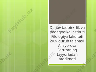 "shoh edip’’ asari — PPTX