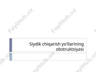 siydik chiqarish yo'llarining obstruktsiyasi — PPTX