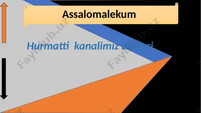taqdimot va vabuyurtma kanali — PPTX