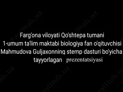 tirik organizmlarning oziqlanishi — PPTX