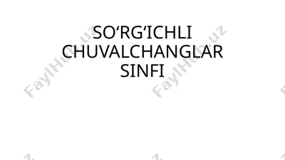 so‘rg‘ichli chuvalchanglar sinfi — PPTX