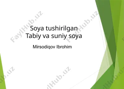soya tushirilgan tabiy va suniy soya — PPTX