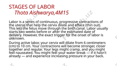 stages of labor — PPTX