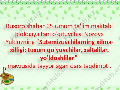 biologiya fanida "sutemizuvchilarning xilma-xilligi: tuxum qo’yuvchilar, xaltalilar, yo’ldoshlilar" mavzusida tayyorlagan dars taqdimoti — PPTX