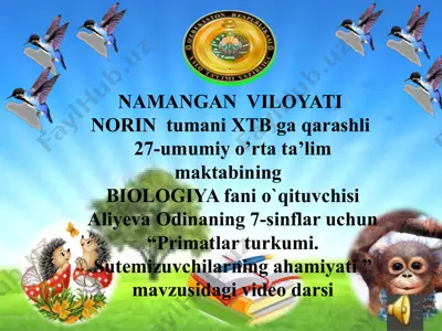 primatlar turkumi. sutemizuvchilarning ahamiyati video darsi — PPTX