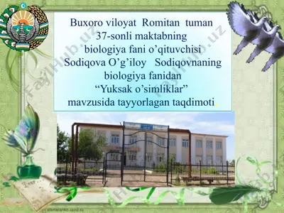 "yuksak o’simliklar" taqdimoti — PPTX