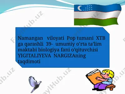 hayvonlarning tana qoplami va harakat organlari evolutsiyasi — PPTX