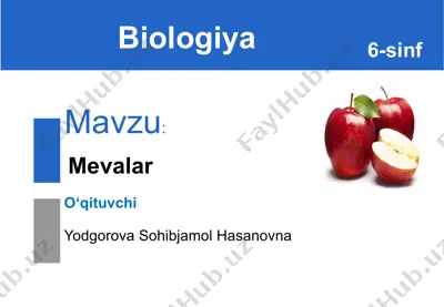 mevalar — PPTX