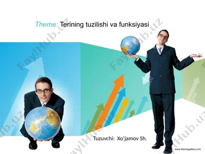 terining tuzilishi va funksiyasi — PPTX