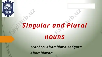 singular and plural nouns — PPTX