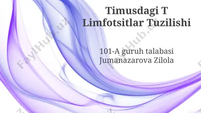 timusdagi t limfotsitlar tuzilishi — PPTX