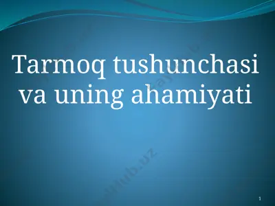tarmoq tushunchasi va uning ahamiyati — PPTX