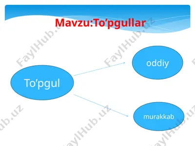 to’pgullar — PPTX