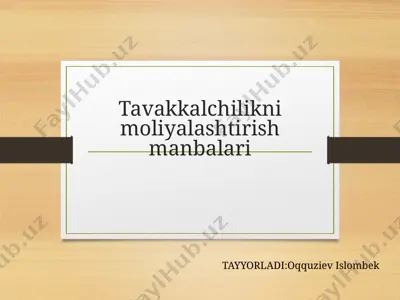 tavakkalchilikni moliyalashtirish manbalari — PPTX