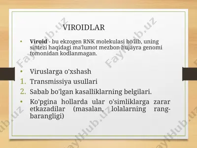 viroidlar — PPTX