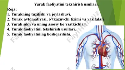 yurak faoliyatini tekshirish usullari. — PPTX