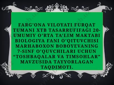 marhaboxon boboyevning "toshbaqalar va timsohlar" mavzusida taqdimoti — PPTX