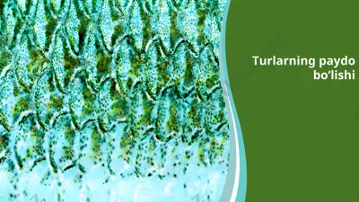 turlarning paydo bo‘lishi — PPTX